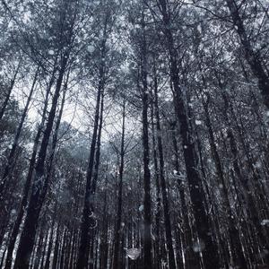 宝贝c我想摸你奶让我揉揉视频
